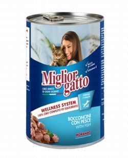 Miglior Gatto Wet Cat Food with Fish