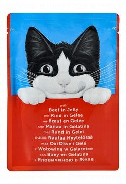 Purina Felix Wet Food with Beef in Jelly for Adult Cats